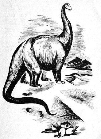 Николай Плавильщиков - Бронтозавр