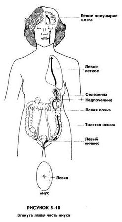 Мантэк Чиа, Мэниван Чиа - Совершенствование женской сексуальной энергии