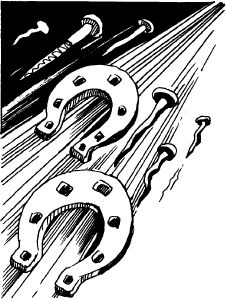 Всеволод Костров - Когда зацветёт папоротник