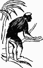 Игорь Акимушкин - Следы невиданных зверей