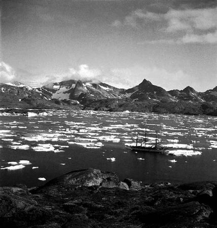 Шон Кэрролл - Закон "джунглей". В поисках формулы жизни