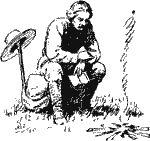 Морской узелок