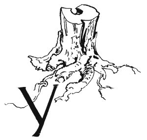 Валентин Рушкис - Повесть о славных делах Волли Крууса и его верных друзей