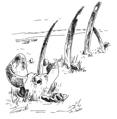 Елена Пакалина - Чудеса света