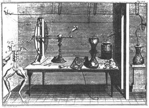 Флойд Блум, Арлайн Лейзерсон и др. - Мозг, разум и поведение