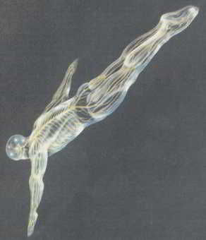 Флойд Блум, Арлайн Лейзерсон и др. - Мозг, разум и поведение