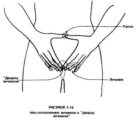Мантэк Чиа, Мэниван Чиа - Совершенствование женской сексуальной энергии