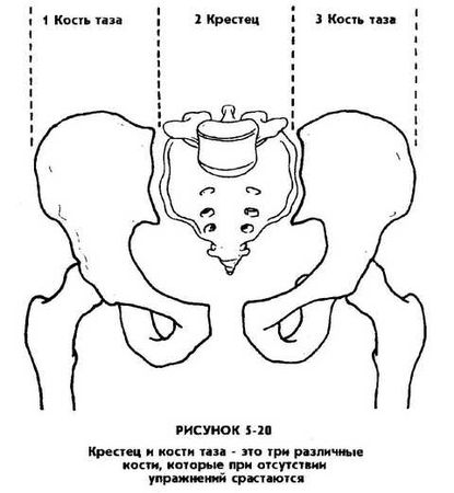 Мантэк Чиа, Мэниван Чиа - Совершенствование женской сексуальной энергии