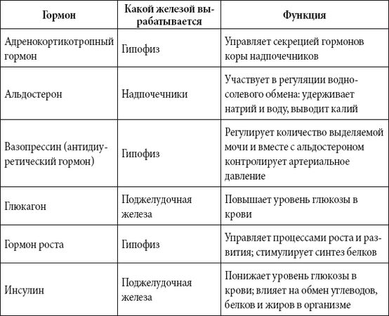 Андрей Чернявский, Дмитрий Ковальчук - Краткий справочник необходимых знаний