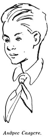 Валентин Рушкис - Повесть о славных делах Волли Крууса и его верных друзей