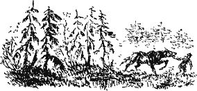 Куда ведет Нептун