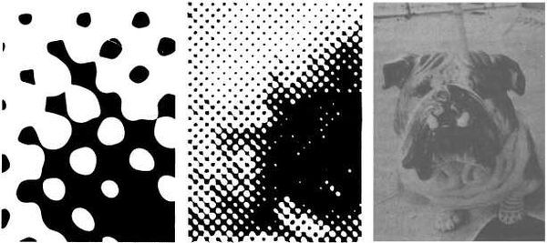 Флойд Блум, Арлайн Лейзерсон и др. - Мозг, разум и поведение