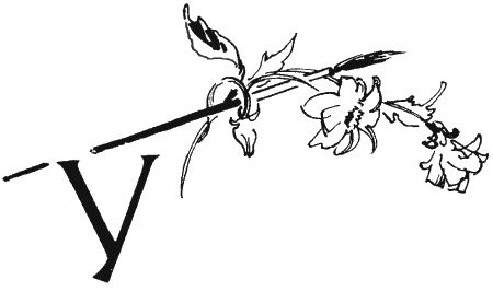 Валентин Рушкис - Повесть о славных делах Волли Крууса и его верных друзей