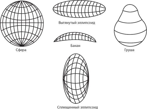 Леонард Сасскинд - Космический ландшафт