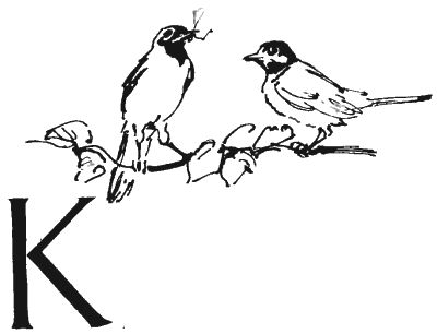 Валентин Рушкис - Повесть о славных делах Волли Крууса и его верных друзей