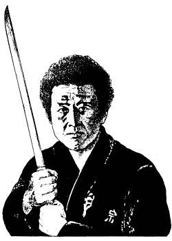 Анатолий Тарас - Воины-тени: Ниндзя и ниндзюцу