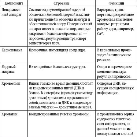 Андрей Чернявский, Дмитрий Ковальчук - Краткий справочник необходимых знаний