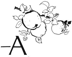 Валентин Рушкис - Повесть о славных делах Волли Крууса и его верных друзей