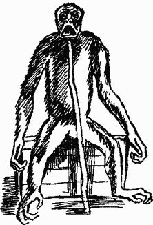 Игорь Акимушкин - Следы невиданных зверей