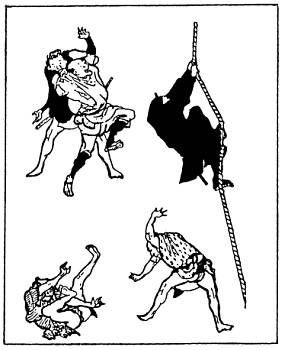 Анатолий Тарас - Воины-тени: Ниндзя и ниндзюцу