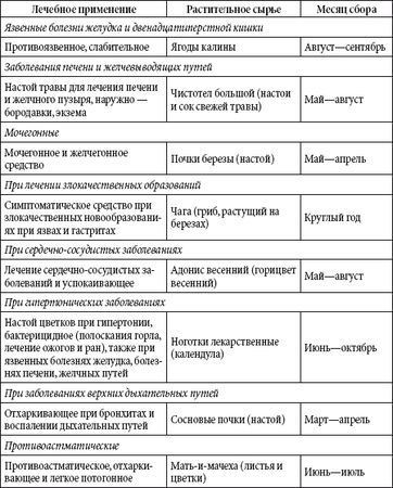 Андрей Чернявский, Дмитрий Ковальчук - Краткий справочник необходимых знаний