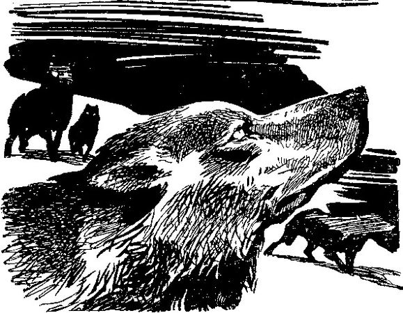 Игорь Росоховатский - Каким ты вернешься? Научно-фантастические повести и рассказы