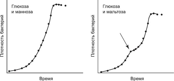 Шон Кэрролл - Закон "джунглей". В поисках формулы жизни