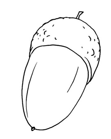 Виктор Зайцев - 33 предмета, которые принесут в дом деньги, здоровье, лад в...