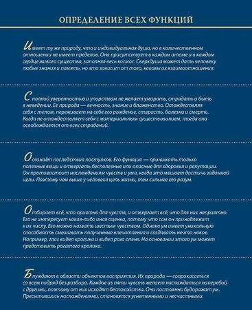 Александр Хакимов - Уровни сознания. Структура человеческой личности. Размышления