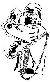 Анатолий Тарас - Воины-тени: Ниндзя и ниндзюцу