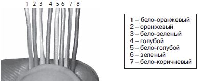 Александр Ватаманюк - Домашние и офисные сети под Vista и XP