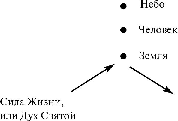 Владимир Жикаренцев - Превращение в Любовь. Том 1. Пути Земные
