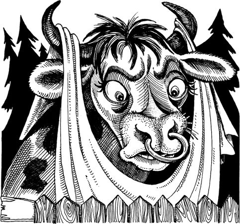 Всеволод Костров - Когда зацветёт папоротник