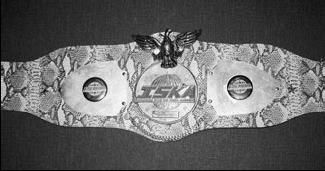 Александр Ковтик - Тайский бокс. Уроки профессионала для начинающих