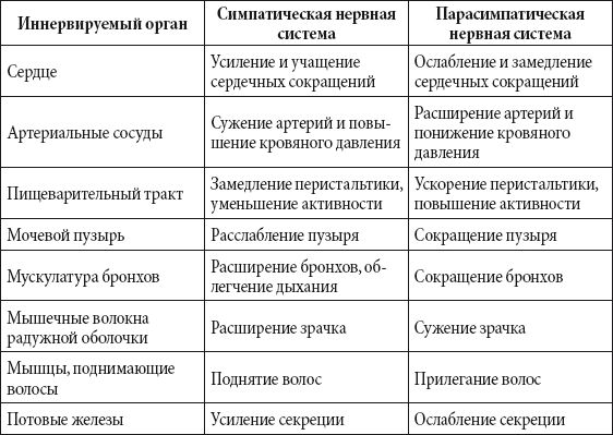Андрей Чернявский, Дмитрий Ковальчук - Краткий справочник необходимых знаний