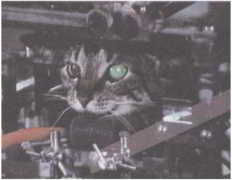 Флойд Блум, Арлайн Лейзерсон и др. - Мозг, разум и поведение