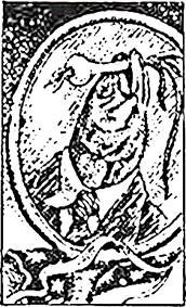 Аркадий и Борис Стругацкие - Сказка о Тройке (ил. И.Гончарука)