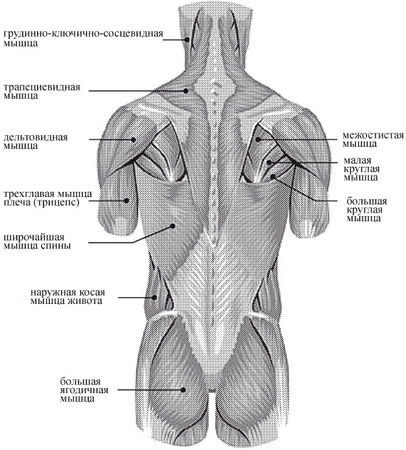 Андрей Чернявский, Дмитрий Ковальчук - Краткий справочник необходимых знаний