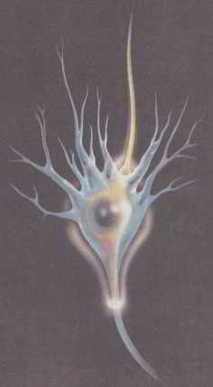 Флойд Блум, Арлайн Лейзерсон и др. - Мозг, разум и поведение