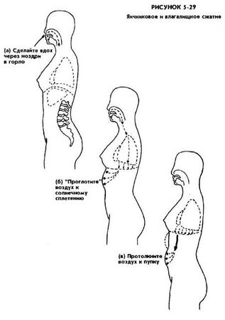 Мантэк Чиа, Мэниван Чиа - Совершенствование женской сексуальной энергии
