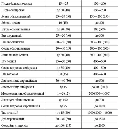 Андрей Чернявский, Дмитрий Ковальчук - Краткий справочник необходимых знаний