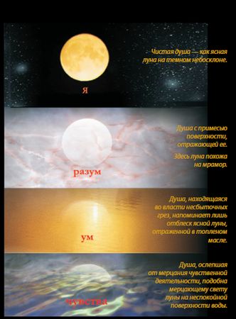 Александр Хакимов - Уровни сознания. Структура человеческой личности. Размышления