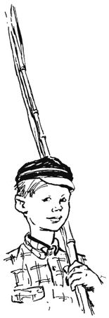 Валентин Рушкис - Повесть о славных делах Волли Крууса и его верных друзей