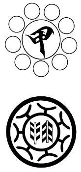 Анатолий Тарас - Воины-тени: Ниндзя и ниндзюцу