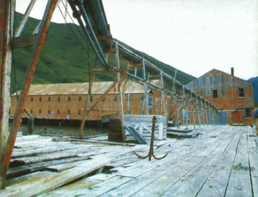 Жак-Ив Кусто, И. Паккале - Лососи, бобры, каланы