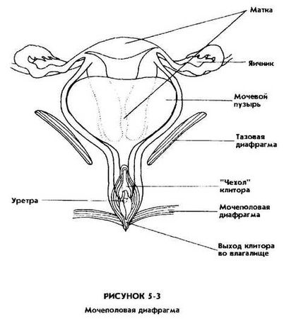 Мантэк Чиа, Мэниван Чиа - Совершенствование женской сексуальной энергии