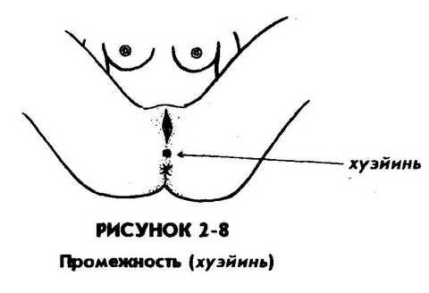 Мантэк Чиа, Мэниван Чиа - Совершенствование женской сексуальной энергии