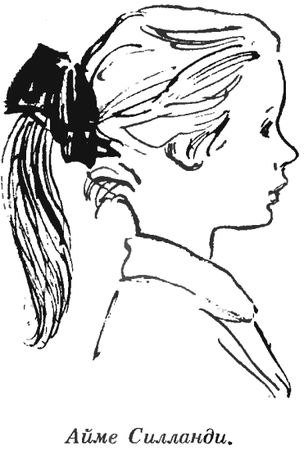 Валентин Рушкис - Повесть о славных делах Волли Крууса и его верных друзей