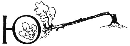 Валентин Рушкис - Повесть о славных делах Волли Крууса и его верных друзей