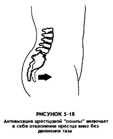 Мантэк Чиа, Мэниван Чиа - Совершенствование женской сексуальной энергии